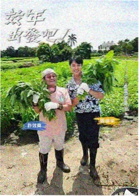 ts电影网 披荆斩棘3 真人秀